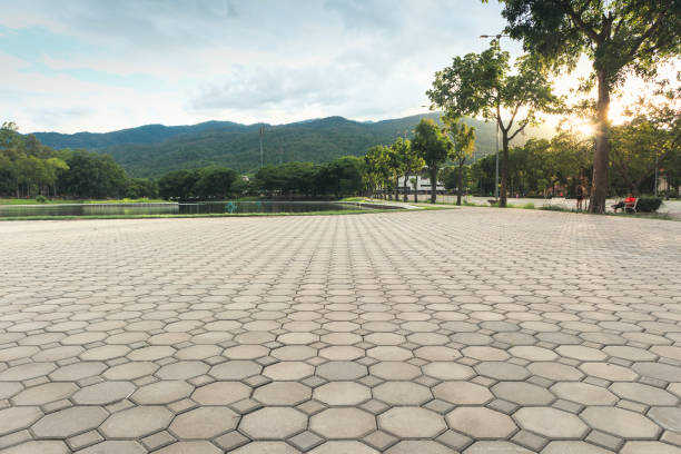 Best Driveway Paver Sealing  in Daingerfield, TX